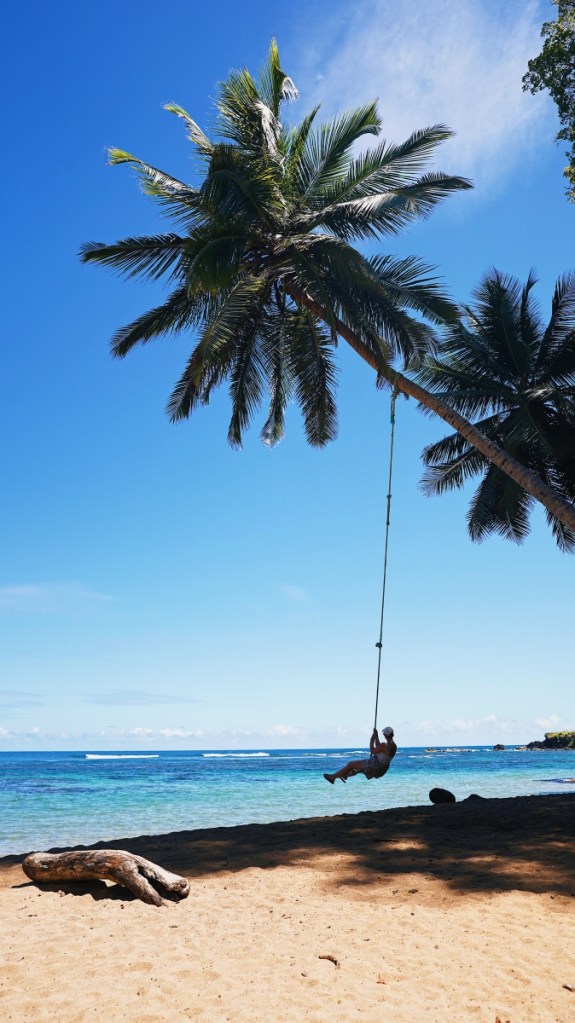 Schaukeln an einer Palme am Sandy Bay Beach