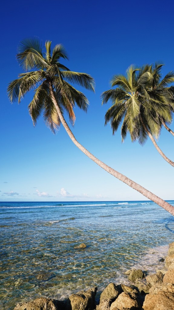 Sonnenaufgang am Richard Hayne’s Boardwalk