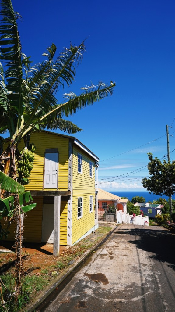 Bunte Häuser und Palmen an jeder Ecke