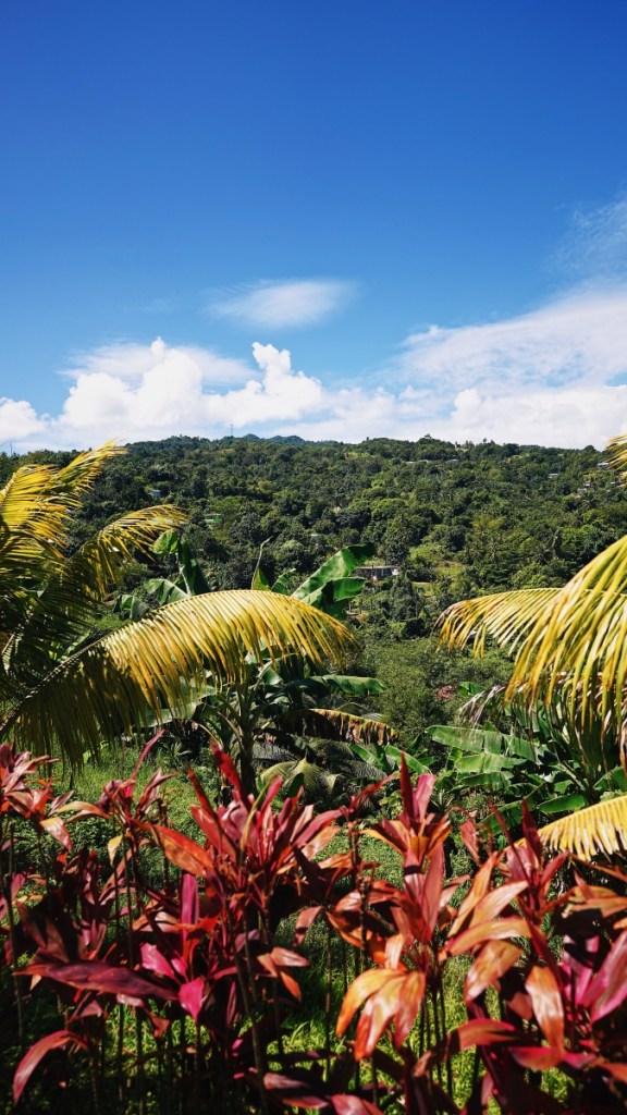 Karibische Vegetation